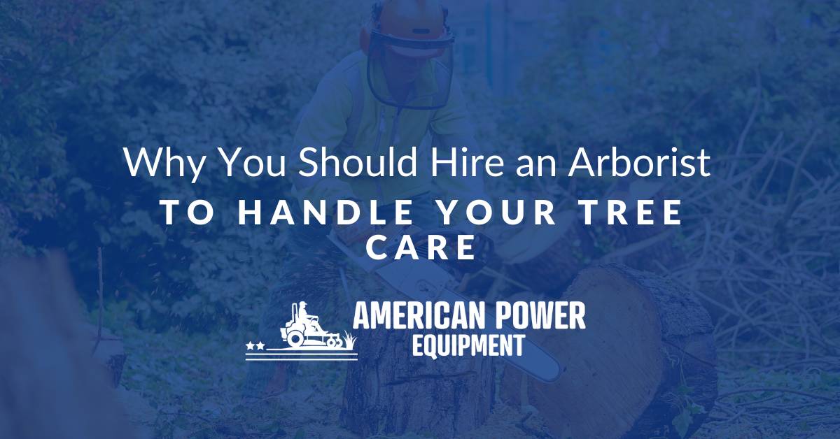 Why You Should Hire an Arborist to Handle Your Tree Care