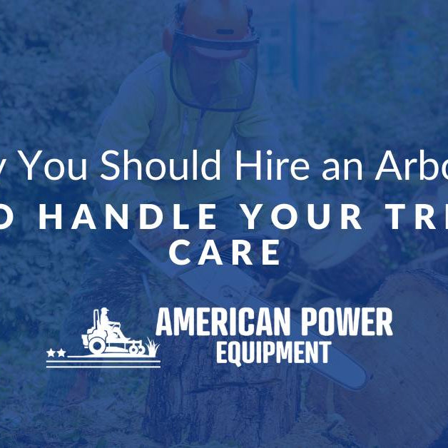 Why You Should Hire an Arborist to Handle Your Tree Care