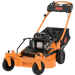 Push Mower Full Service