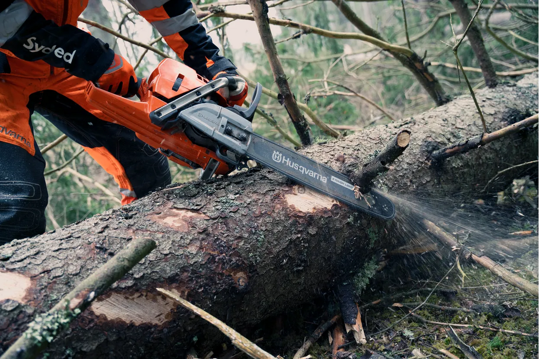 Husqvarna 572 XP, cutting close-up